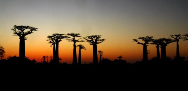 By Paolo Crosetto from Roma - Torino, Italia via Wikimedia Commons